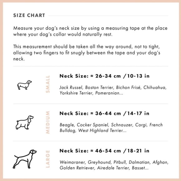 🐶 NEW 🐶 Taily Blush Pink Collar & City Lead Set (Size: Small) - Picture 5 of 5